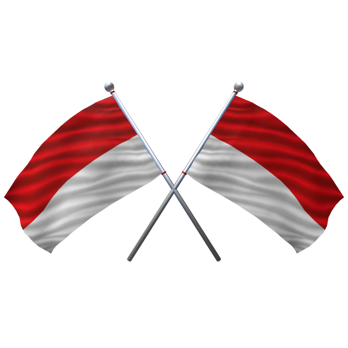 🇮🇩 Indonesia Shoulder Double Flag