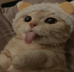 Golden Kitty