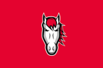 Leicester Riders