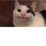 Jaxersizer