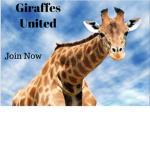 GIRAFFES UNITED!!!!