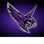 |BA| Bird Army |BA|