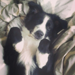 :: kit