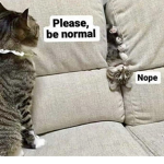 CCCCCAT