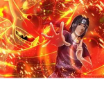 Penguin uchiha