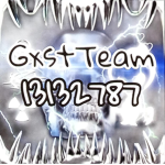 GxstTeam