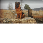 To jest grupa nie wiem po co -_-