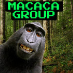 macaca group