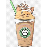 Kitty cat cookie