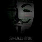 Hackers in the Shadows