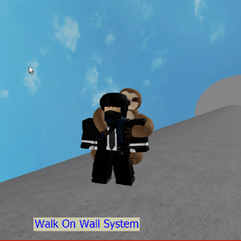 Walk On Wall Sytems