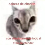 señor willingurgul
