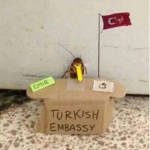 the turkish embassy
