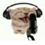 Cheepy6's Epic Dev Group