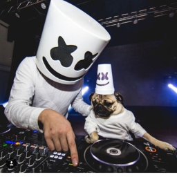 pug hang for life