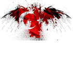 Ay Yıldız (TR)