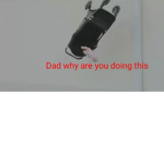 Snow Gaming ROBLOX
