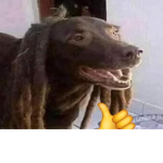 Grupo de compás finos xd