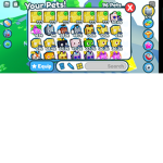 Team PET SIMULATOR X is the best