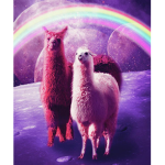 Crazy Llama's