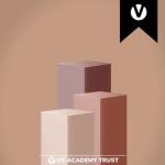 Vize Academy Trust