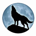 My Beautiful Wolf Pack