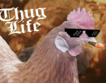 El GALLINERO OFICIAL