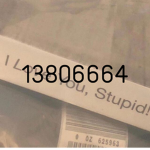 C + S