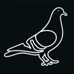 >Pigeons<