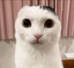 Noobw0rld