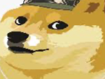 Doge GroupO