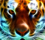 People Zoo Group