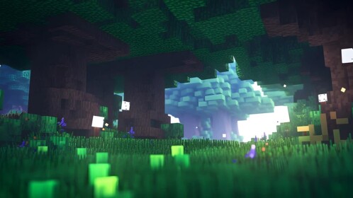 Voxels