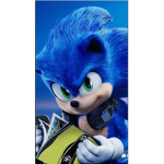SONIC THE BULE BUR FANS group