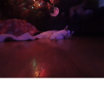 Landon_games