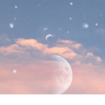 *Moonlight Apparel*
