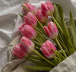 Bloomi.