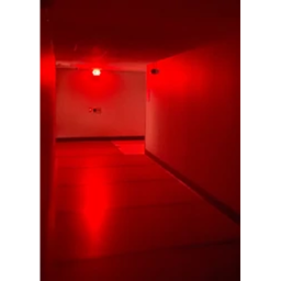 Level ! : RUN FOR YOUR LIFE