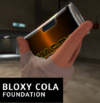 Bloxy Cola Foundation