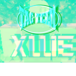Tag Team Tournament Arena