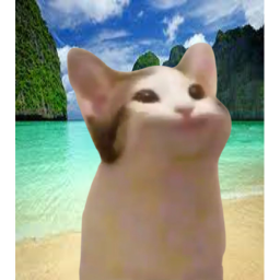 pop cat training