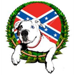 The American Bulldogs [TAB]