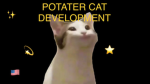 POTATER CAT DEVELOPMENT