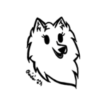 .*TheHuskyStudio*.