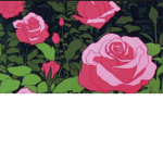The Roses of Roblox :)