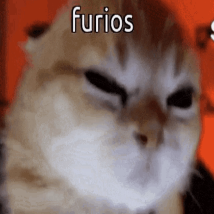 furious cat thing Roblox decal