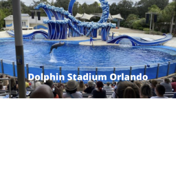 Dolphin Staduim Orlando