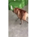 Bruuuuuuuuuuuuuuuu