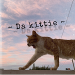 ~" k i t t y "~
