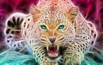 CHEETAH CULT